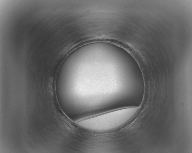X0000073711265200608031031