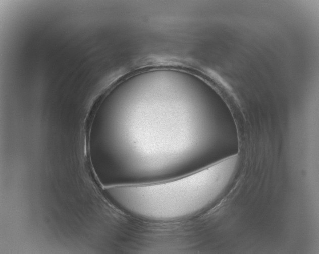 X0000073711269200608031031
