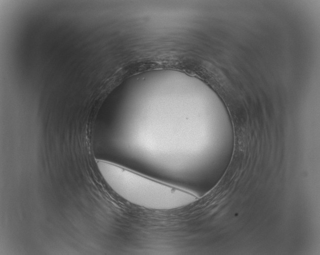 X0000073711298200608031030