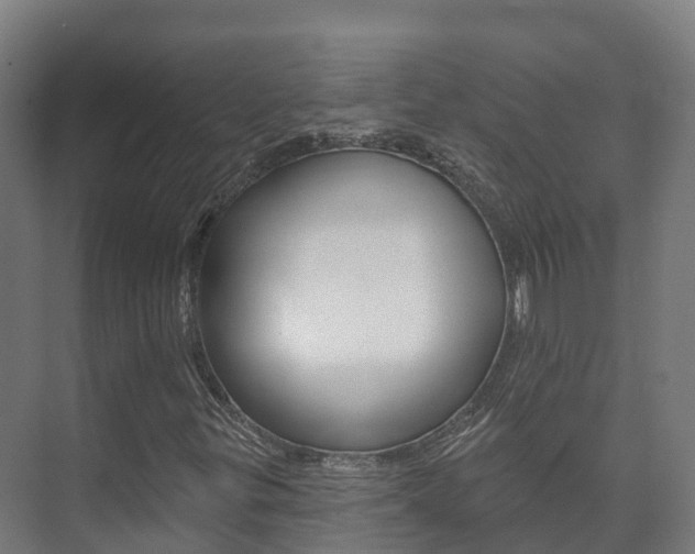 X0000073711299200608031030