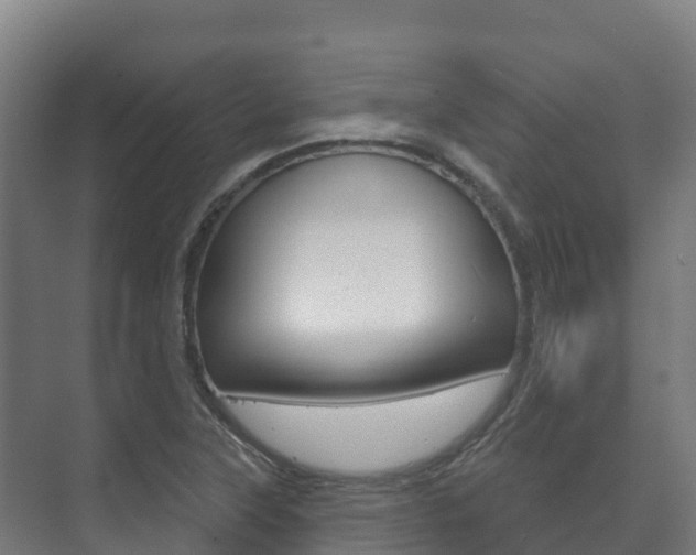 X0000073711315200608031030