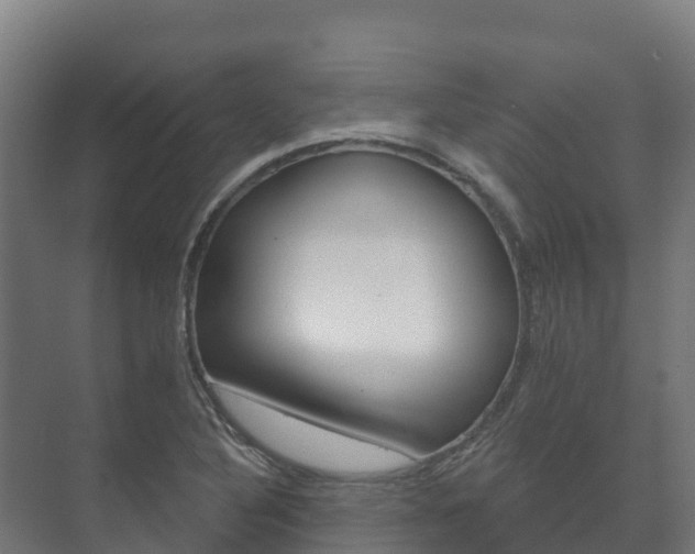 X0000073711316200608031030