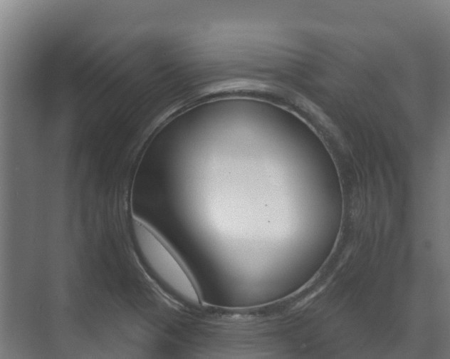 X0000073711321200608031030