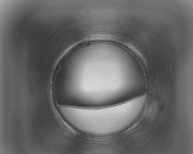 X0000073711325200608031030
