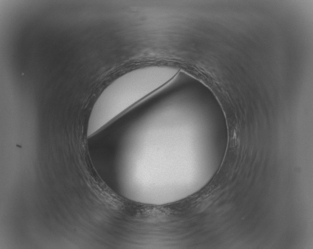 X0000073711348200608031030