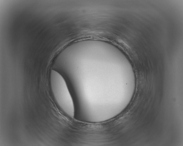 X0000073711354200608031030