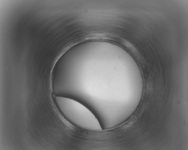 X0000073711370200608031029