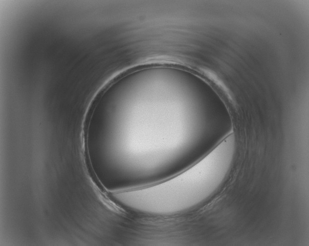 X0000073711372200608031029
