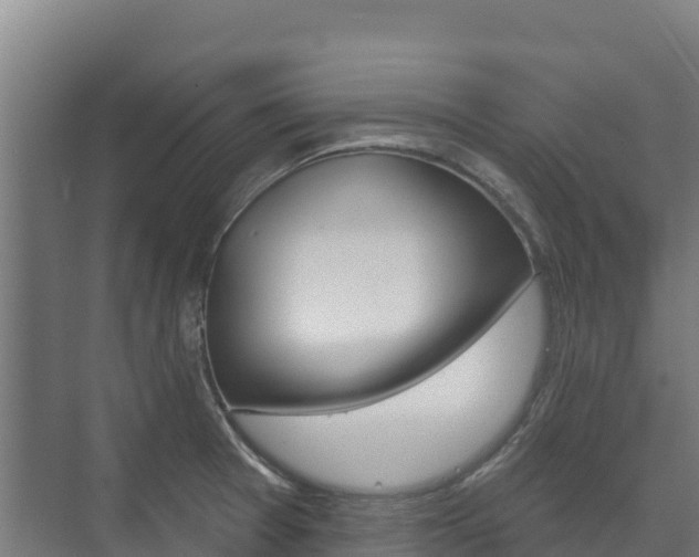 X0000073711377200608031029