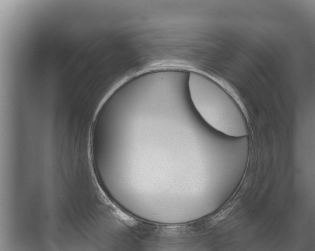 X0000073711390200608031029
