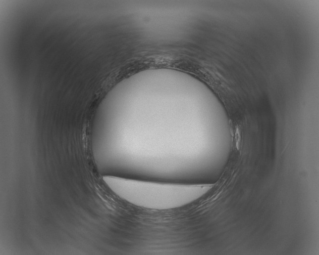 X0000073711395200608031028