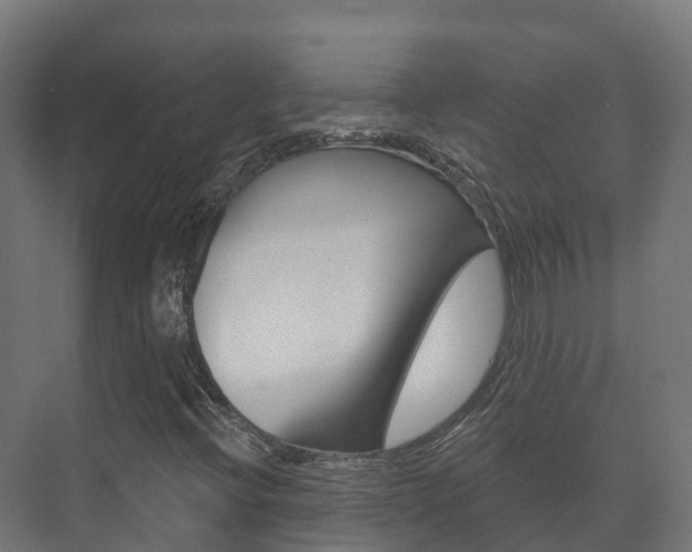 X0000073711396200608031028