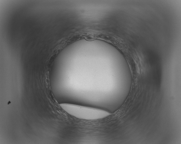 X0000073711397200608031028