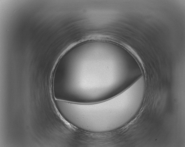 X0000073711437200608031029