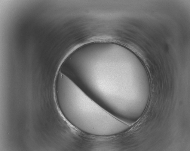 X0000073711440200608031029