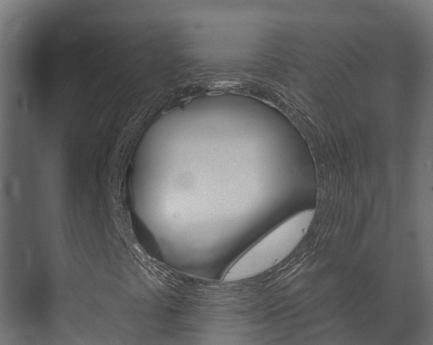 X0000073711441200608031028