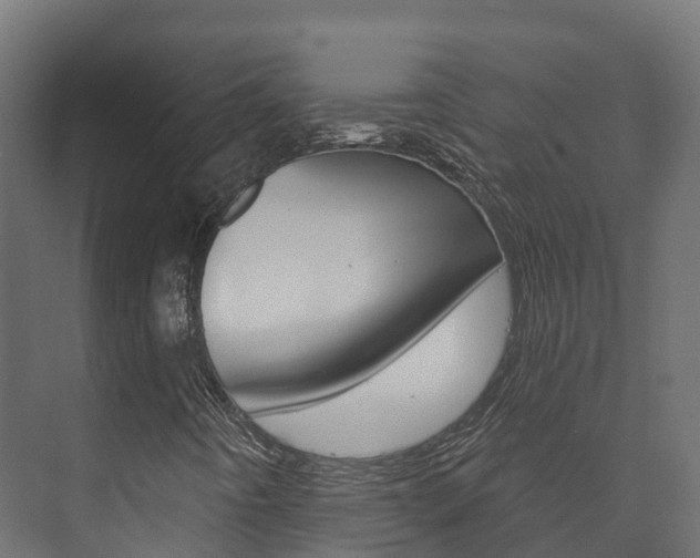 X0000073711442200608031028