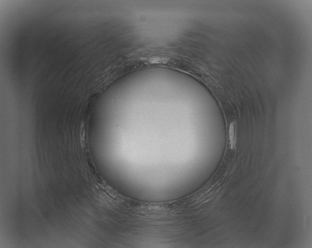 X0000073711443200608031028