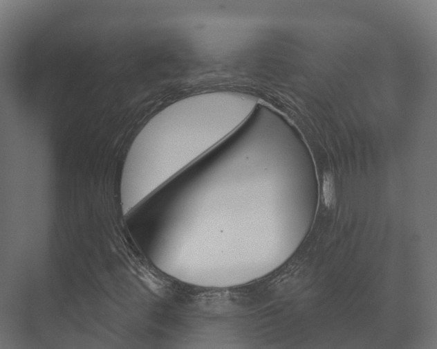 X0000073711444200608031028