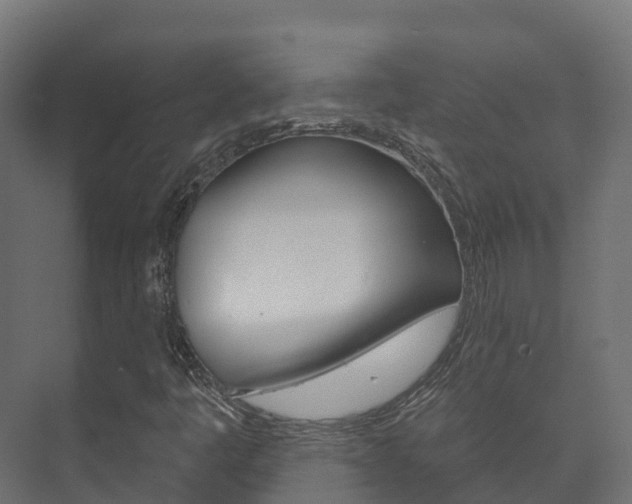 X0000073711445200608031028