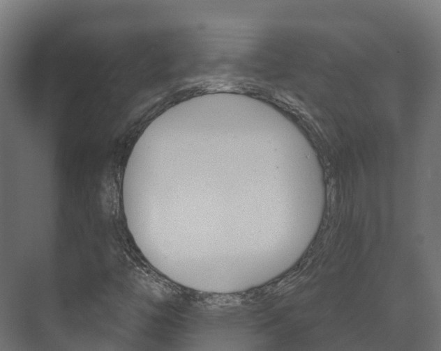 X0000073711446200608031028