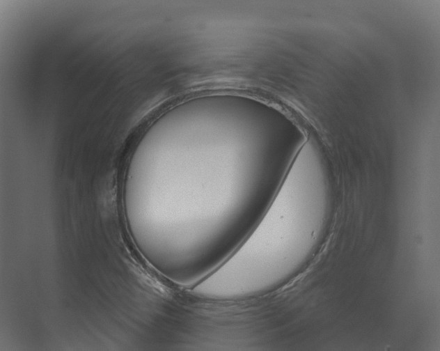 X0000073711450200608031028