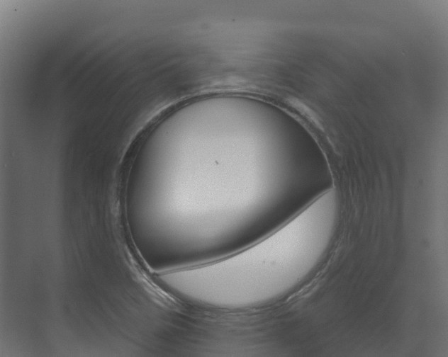 X0000073711458200608031028