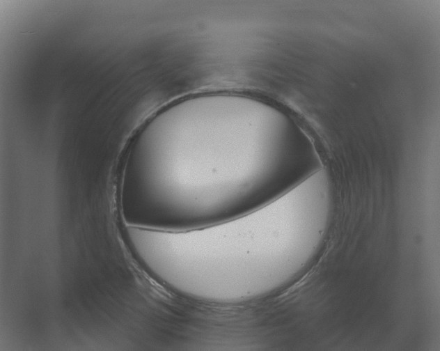 X0000073711459200608031028