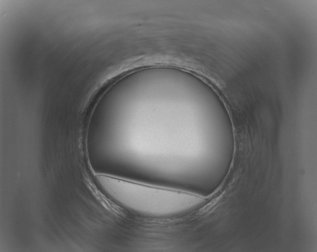 X0000073711499200608031027