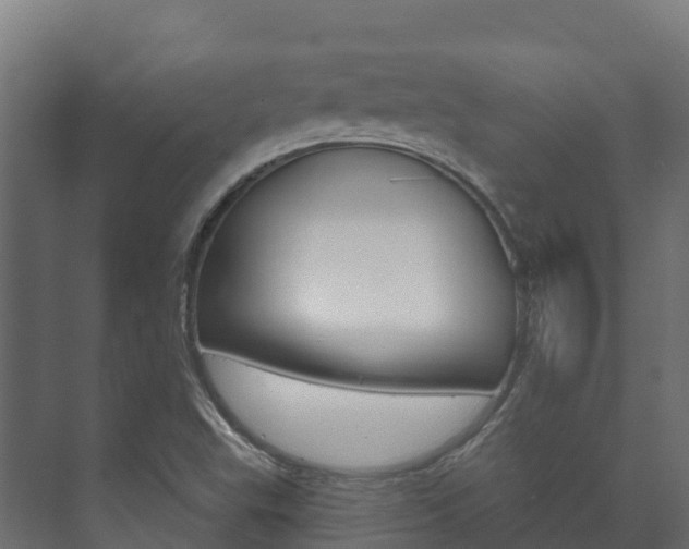 X0000073711503200608031027