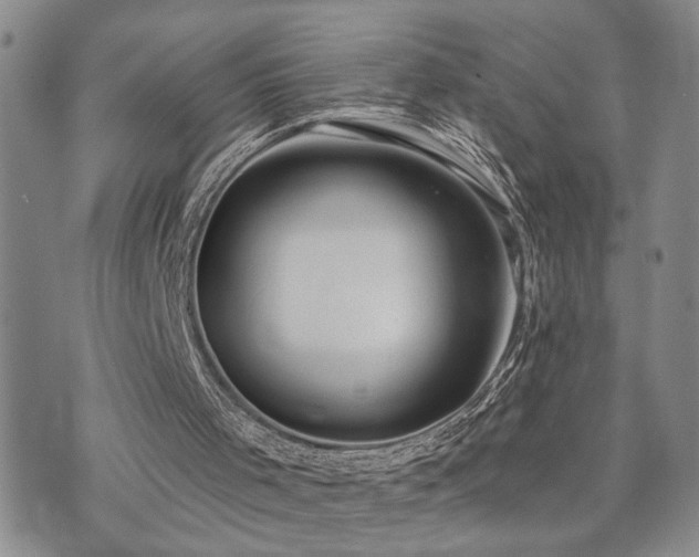 X0000073710001200608031251