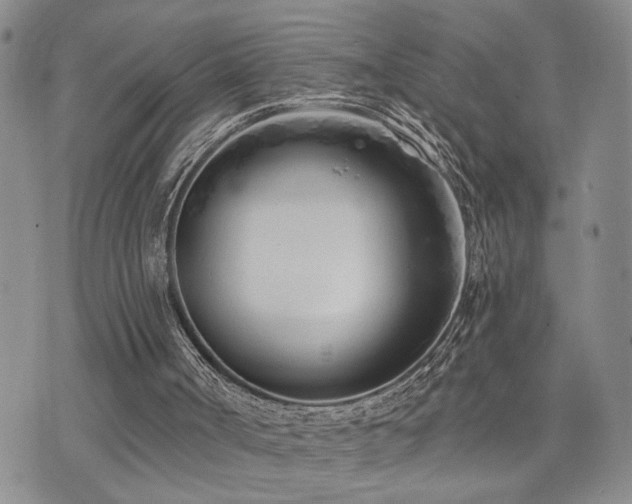 X0000073710002200608031251