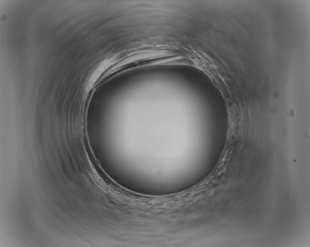 X0000073710003200608031251