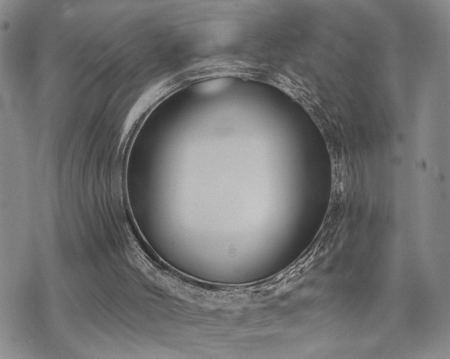 X0000073710004200608031251