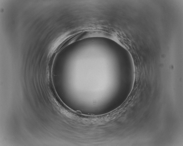 X0000073710005200608031251