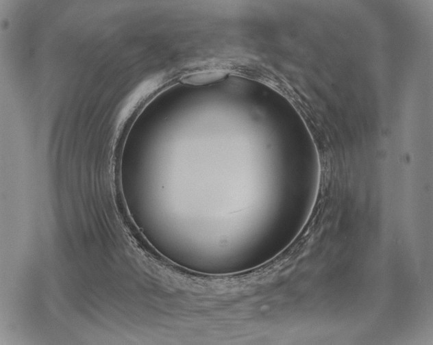 X0000073710006200608031251