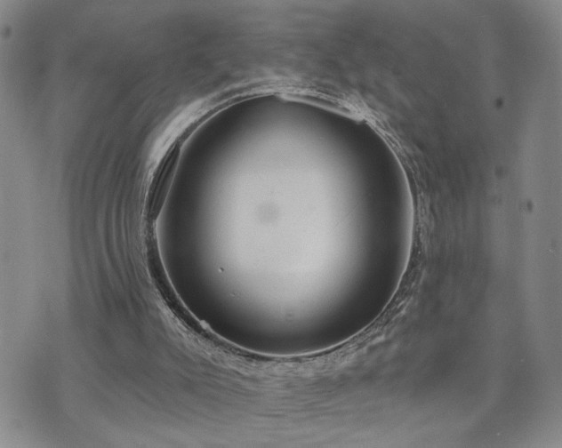 X0000073710007200608031251