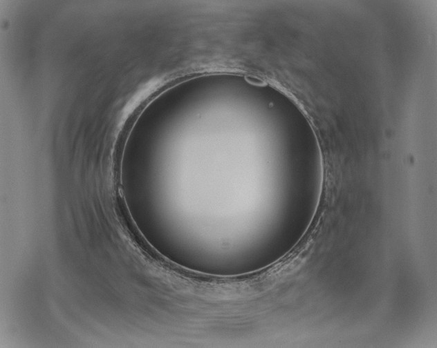 X0000073710008200608031251