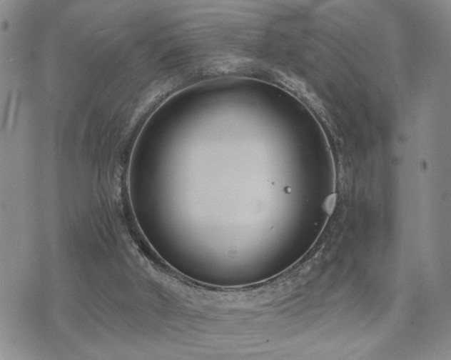 X0000073710010200608031251