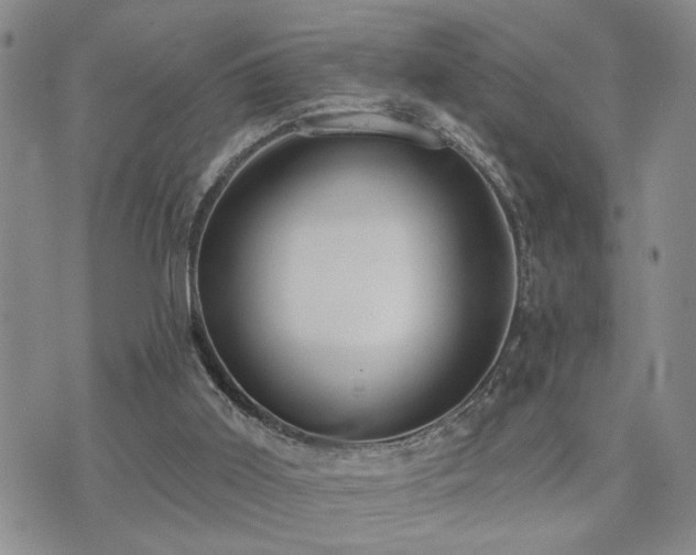 X0000073710011200608031251