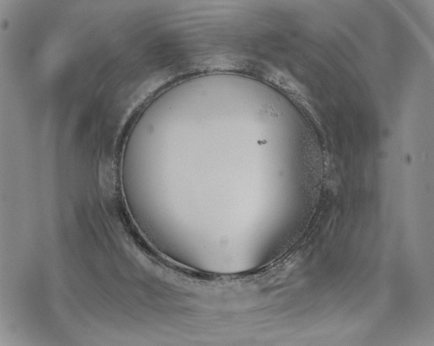 X0000073710012200608031251