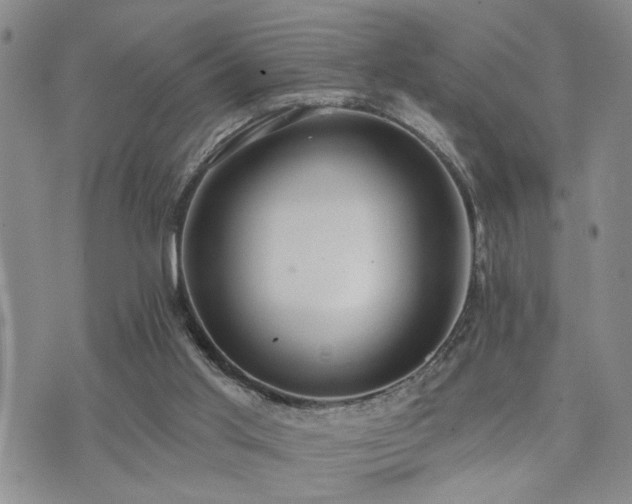 X0000073710013200608031251