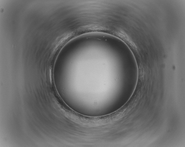 X0000073710014200608031251