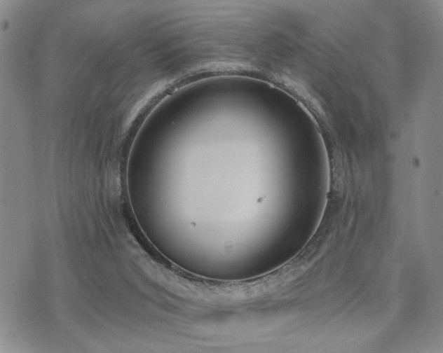 X0000073710015200608031251