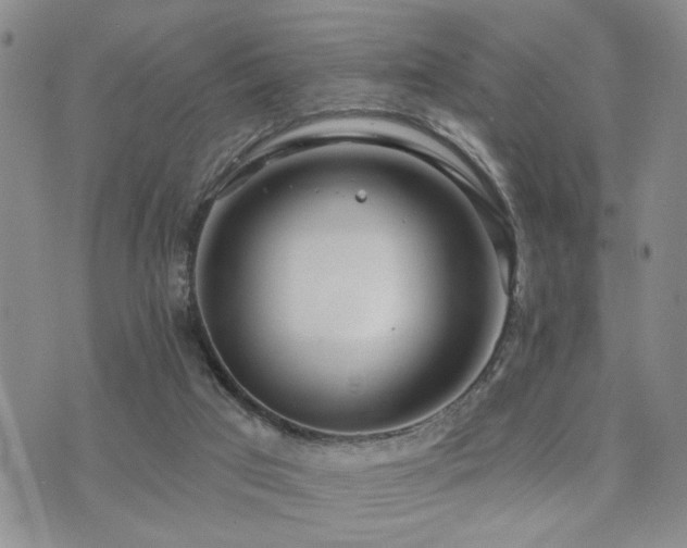 X0000073710017200608031251