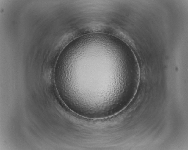 X0000073710018200608031251