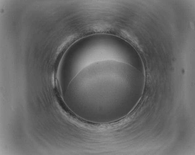 X0000073710019200608031251