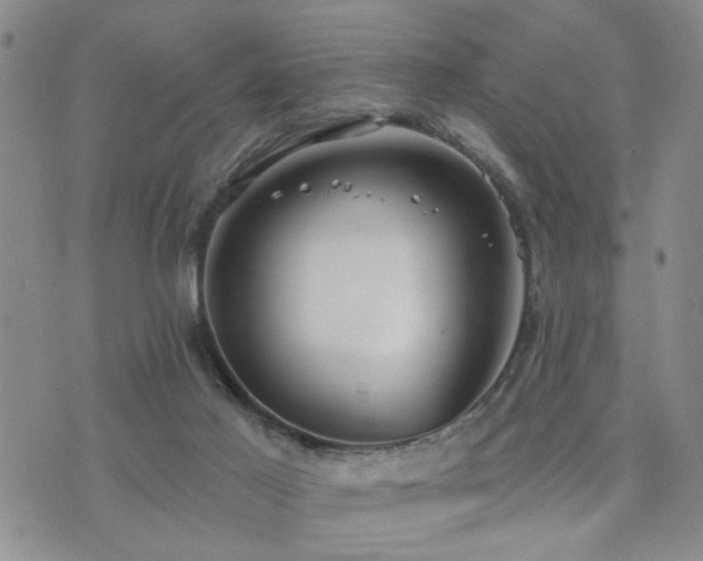 X0000073710021200608031251