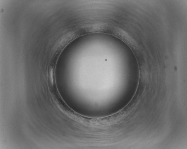 X0000073710022200608031251