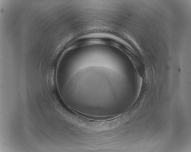 X0000073710023200608031251